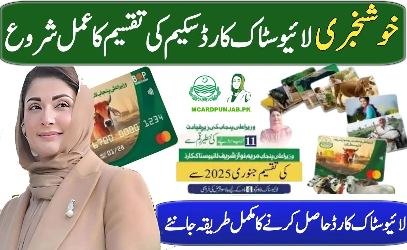 CM Punjab Launch CM Livestock Card Scheme 2025