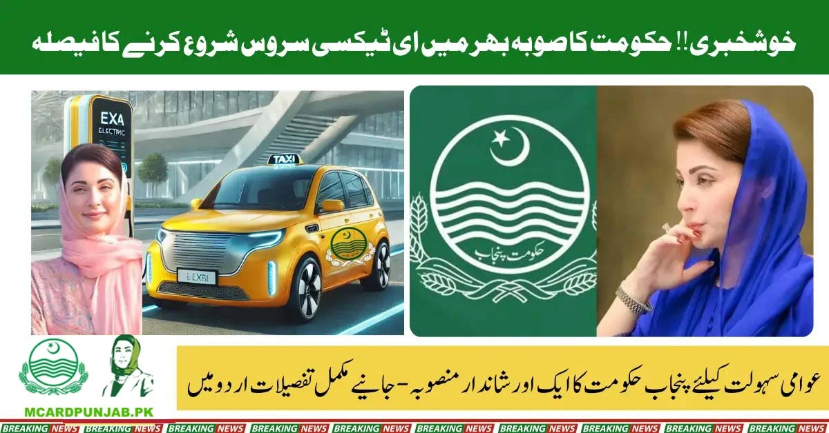 CM Punjab Announces Revolutionary E-Taxi Program to Combat Unemployment