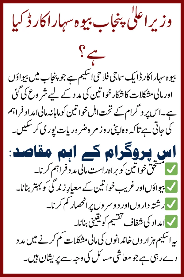 CM Punjab Bewa Sahara Card 2025: How to Apply and Who is Eligible