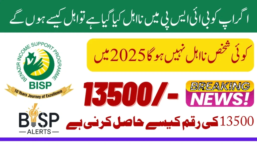 BISP 8171 Ineligibility via SMS What It Means and How to Fix It