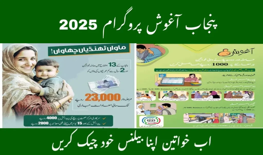 Benazir Nashonuma Program 2025: Complete Guide
