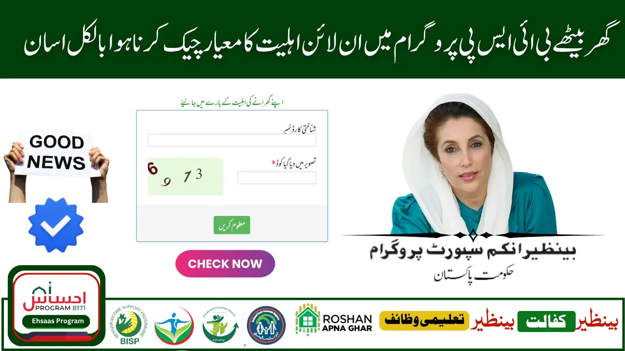 Check CNIC & BISP Payment Status via 8171 Web Portal – Easy 2025 Guide