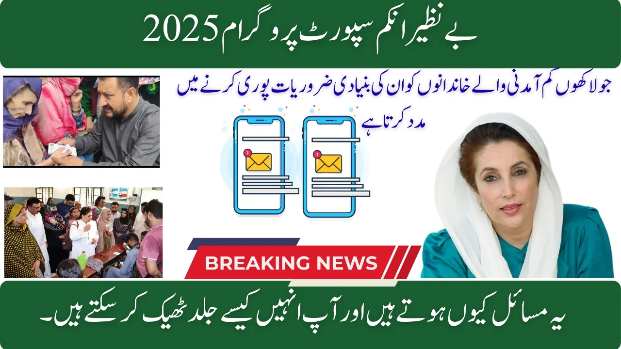 BISP 8171 SMS Problems and Late Payments Explained: Easy Step-by-Step Guide 2025